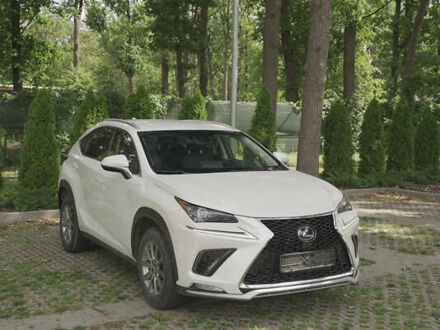 Білий Лексус НХ, об'ємом двигуна 2 л та пробігом 65 тис. км за 32000 $, фото 1 на Automoto.ua