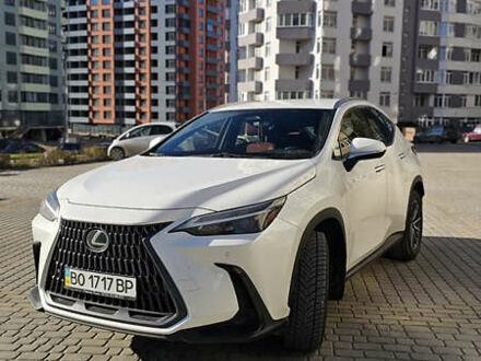 Белый Лексус НХ, объемом двигателя 1.99 л и пробегом 52 тыс. км за 42000 $, фото 1 на Automoto.ua