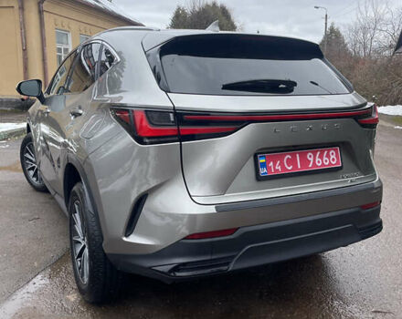 Коричневий Лексус НХ, об'ємом двигуна 2.49 л та пробігом 33 тис. км за 44000 $, фото 6 на Automoto.ua