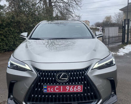 Коричневий Лексус НХ, об'ємом двигуна 2.49 л та пробігом 33 тис. км за 44000 $, фото 11 на Automoto.ua