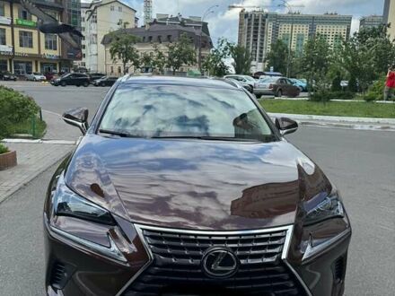 Лексус НХ 2019 в Киеве на Automoto.ua Коричневый Лексус НХ, объемом двигателя 2 л и пробегом 44 тыс. км за 34800 $, фото 1 на Automoto.ua