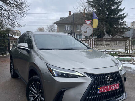 Коричневый Лексус НХ, объемом двигателя 2.49 л и пробегом 33 тыс. км за 44000 $, фото 1 на Automoto.ua