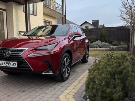 Лексус НХ 2018 в Виннице на Automoto.ua Красный Лексус НХ, объемом двигателя 2.49 л и пробегом 85 тыс. км за 35100 $, фото 1 на Automoto.ua