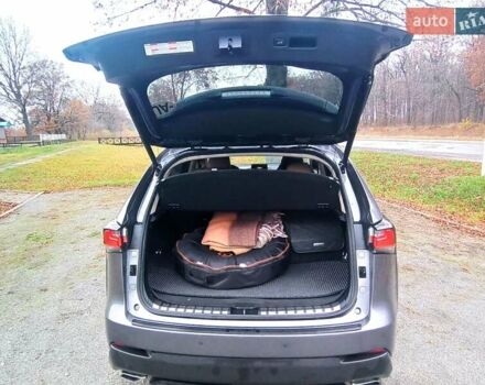 Сірий Лексус НХ, об'ємом двигуна 2 л та пробігом 160 тис. км за 23000 $, фото 8 на Automoto.ua