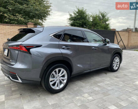 Лексус НХ 2019 в Житомире на Automoto.ua Серый Лексус НХ, объемом двигателя 2.49 л и пробегом 43 тыс. км за 32800 $, фото 3 на Automoto.ua