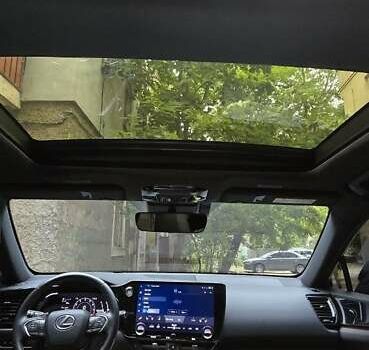 Сірий Лексус НХ, об'ємом двигуна 2.49 л та пробігом 17 тис. км за 52000 $, фото 14 на Automoto.ua