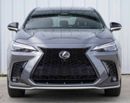 Серый Лексус НХ, объемом двигателя 2.5 л и пробегом 25 тыс. км за 38000 $, фото 1 на Automoto.ua