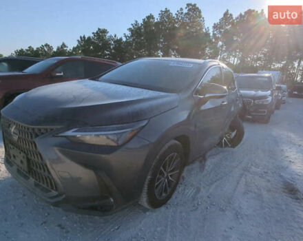 Серый Лексус НХ, объемом двигателя 2 л и пробегом 82 тыс. км за 28000 $, фото 3 на Automoto.ua