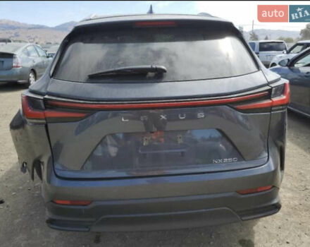 Серый Лексус НХ, объемом двигателя 2 л и пробегом 82 тыс. км за 28000 $, фото 8 на Automoto.ua