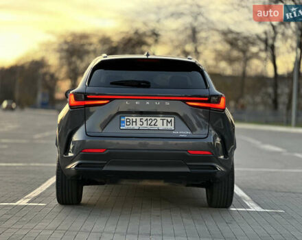 Серый Лексус НХ, объемом двигателя 2.49 л и пробегом 45 тыс. км за 49900 $, фото 18 на Automoto.ua