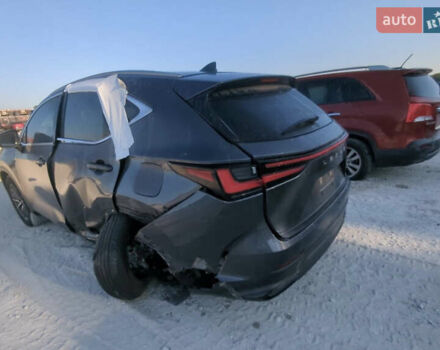 Серый Лексус НХ, объемом двигателя 2 л и пробегом 82 тыс. км за 28000 $, фото 17 на Automoto.ua