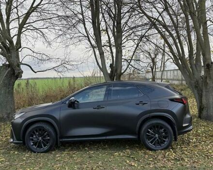 Серый Лексус НХ, объемом двигателя 2.49 л и пробегом 28 тыс. км за 46500 $, фото 14 на Automoto.ua