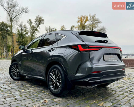 Лексус НХ 2022 в Киеве на Automoto.ua Серый Лексус НХ, объемом двигателя 1.99 л и пробегом 93 тыс. км за 36555 $, фото 80 на Automoto.ua