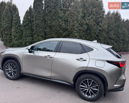 Серый Лексус НХ, объемом двигателя 1.99 л и пробегом 36 тыс. км за 41500 $, фото 3 на Automoto.ua