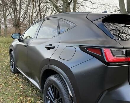 Серый Лексус НХ, объемом двигателя 2.49 л и пробегом 28 тыс. км за 46500 $, фото 13 на Automoto.ua