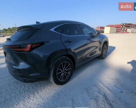 Серый Лексус НХ, объемом двигателя 2 л и пробегом 82 тыс. км за 28000 $, фото 19 на Automoto.ua