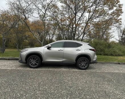 Серый Лексус НХ, объемом двигателя 0 л и пробегом 33 тыс. км за 14000 $, фото 10 на Automoto.ua