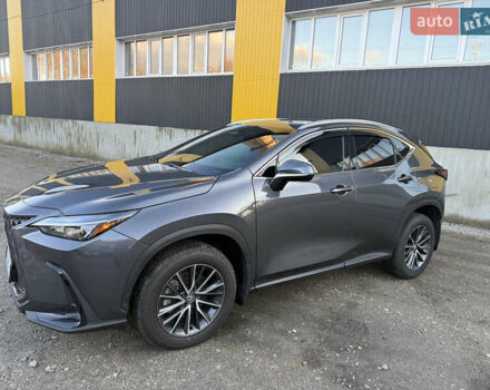 Серый Лексус НХ, объемом двигателя 2.39 л и пробегом 37 тыс. км за 42900 $, фото 14 на Automoto.ua