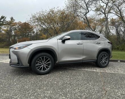 Серый Лексус НХ, объемом двигателя 0 л и пробегом 33 тыс. км за 14000 $, фото 4 на Automoto.ua