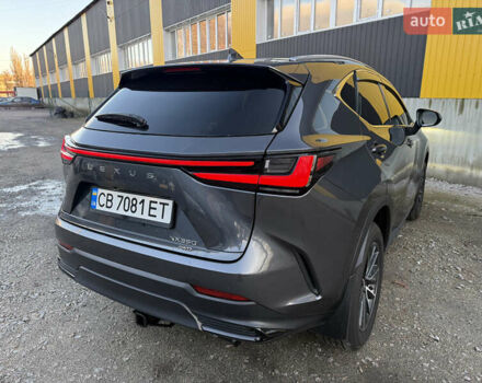 Серый Лексус НХ, объемом двигателя 2.39 л и пробегом 37 тыс. км за 42900 $, фото 20 на Automoto.ua