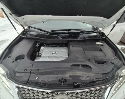 Белый Лексус РХ, объемом двигателя 3.46 л и пробегом 256 тыс. км за 19000 $, фото 14 на Automoto.ua