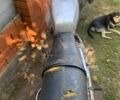 Бежевий Лексус РХ, об'ємом двигуна 3.46 л та пробігом 247 тис. км за 9988 $, фото 36 на Automoto.ua