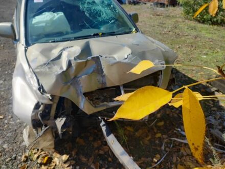 Лексус РХ 2000 в Белгород-Днестровском на Automoto.ua Бежевый Лексус РХ, объемом двигателя 3 л и пробегом 320 тыс. км за 1800 $, фото 1 на Automoto.ua