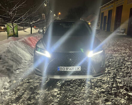 Сірий Лексус РХ, об'ємом двигуна 3.5 л та пробігом 75 тис. км за 48999 $, фото 2 на Automoto.ua