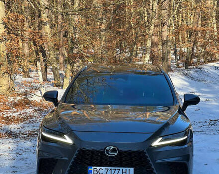 Сірий Лексус РХ, об'ємом двигуна 2.49 л та пробігом 59 тис. км за 63000 $, фото 7 на Automoto.ua
