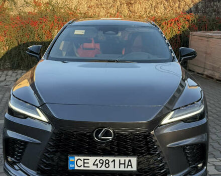Серый Лексус РХ, объемом двигателя 2.4 л и пробегом 27 тыс. км за 74500 $, фото 18 на Automoto.ua