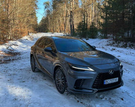 Сірий Лексус РХ, об'ємом двигуна 2.49 л та пробігом 59 тис. км за 59999 $, фото 9 на Automoto.ua
