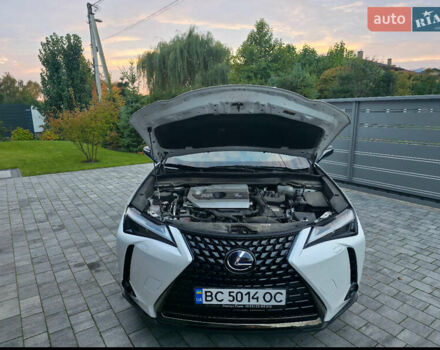 Лексус UX 2022 в Львове на Automoto.ua Белый Лексус UX, объемом двигателя 1.99 л и пробегом 68 тыс. км за 34990 $, фото 23 на Automoto.ua