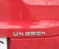 Красный Лексус UX, объемом двигателя 2 л и пробегом 17 тыс. км за 29800 $, фото 36 на Automoto.ua