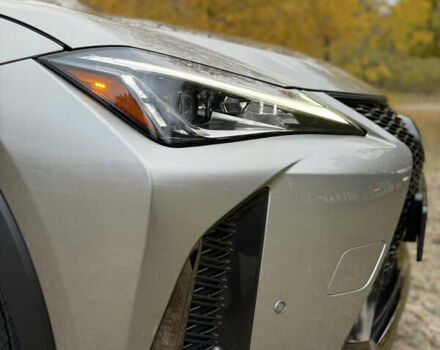 Лексус UX 2020 у Дніпро (Дніпропетровську) на Automoto.ua Сірий Лексус UX, об'ємом двигуна 2 л та пробігом 33 тис. км за 30900 $, фото 10 на Automoto.ua