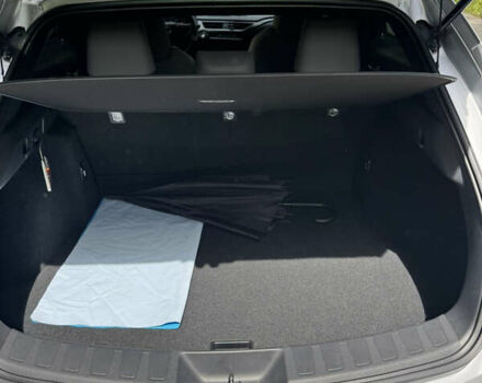 Сірий Лексус UX, об'ємом двигуна 1.99 л та пробігом 40 тис. км за 25500 $, фото 42 на Automoto.ua