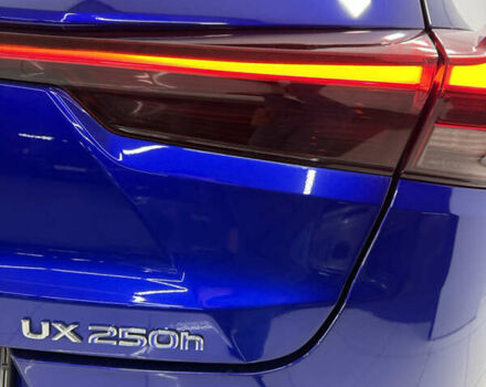 Синий Лексус UX, объемом двигателя 1.99 л и пробегом 40 тыс. км за 29500 $, фото 12 на Automoto.ua