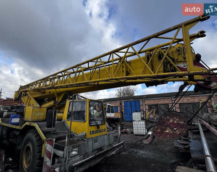 Либхерр LTM 1030, объемом двигателя 0 л и пробегом 0 тыс. км за 30000 $, фото 9 на Automoto.ua