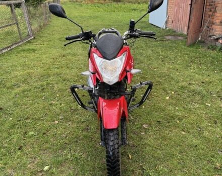 Лифан 200, объемом двигателя 0.2 л и пробегом 0 тыс. км за 950 $, фото 1 на Automoto.ua