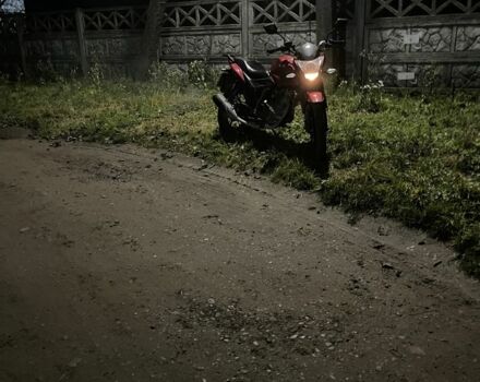 Лифан CityR, объемом двигателя 0.18 л и пробегом 0 тыс. км за 1000 $, фото 4 на Automoto.ua