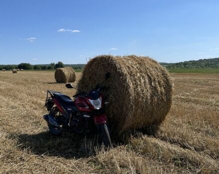 Лифан CityR, объемом двигателя 0.2 л и пробегом 0 тыс. км за 1080 $, фото 5 на Automoto.ua