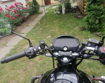 Чорний Ліфан Інша, об'ємом двигуна 0.2 л та пробігом 0 тис. км за 33000 $, фото 4 на Automoto.ua
