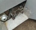 Лифан Другая, объемом двигателя 0.11 л и пробегом 0 тыс. км за 363 $, фото 2 на Automoto.ua
