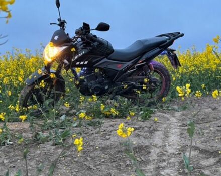 Ліфан Інша, об'ємом двигуна 0.2 л та пробігом 0 тис. км за 484 $, фото 6 на Automoto.ua