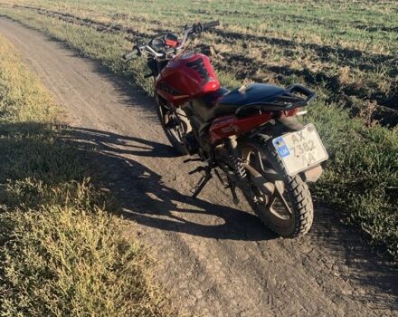Лифан Другая, объемом двигателя 0.15 л и пробегом 0 тыс. км за 550 $, фото 2 на Automoto.ua