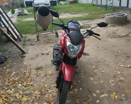 Лифан Другая, объемом двигателя 0.15 л и пробегом 0 тыс. км за 703 $, фото 4 на Automoto.ua