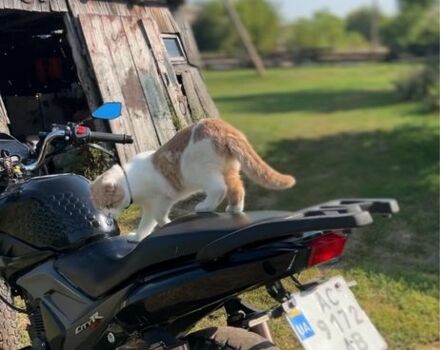 Лифан Другая, объемом двигателя 0.2 л и пробегом 0 тыс. км за 900 $, фото 7 на Automoto.ua