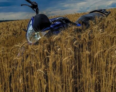 Ліфан Інша, об'ємом двигуна 0.15 л та пробігом 0 тис. км за 763 $, фото 5 на Automoto.ua