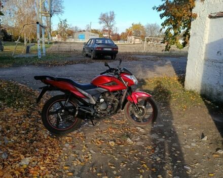 Ліфан Інша, об'ємом двигуна 0.15 л та пробігом 0 тис. км за 870 $, фото 1 на Automoto.ua