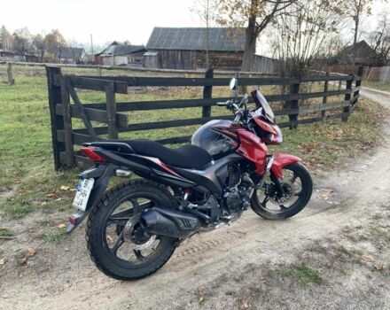 Лифан Другая, объемом двигателя 0.2 л и пробегом 0 тыс. км за 1070 $, фото 5 на Automoto.ua