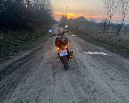 Лифан Другая 2024 в Дрогобыче на Automoto.ua Лифан Другая, объемом двигателя 0.2 л и пробегом 0 тыс. км за 2000 $, фото 4 на Automoto.ua